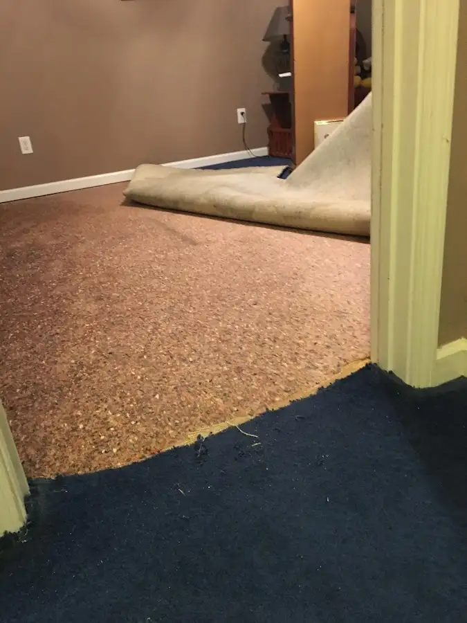 Carpet pad removal revealing water damage during Water Mitigation Services in Hampton