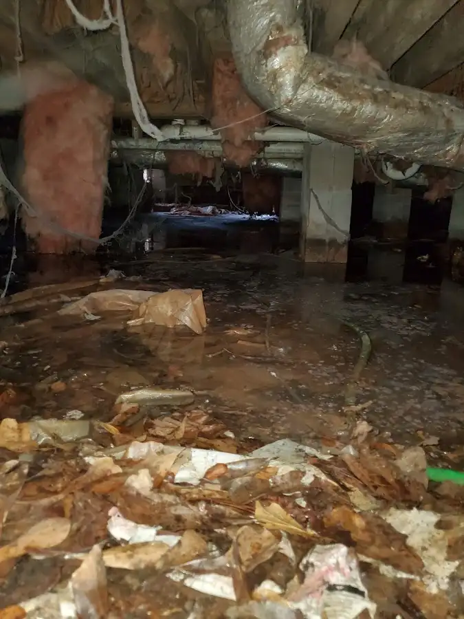 Crawl space flood assessment for Leak Detection & Repair in Hampton