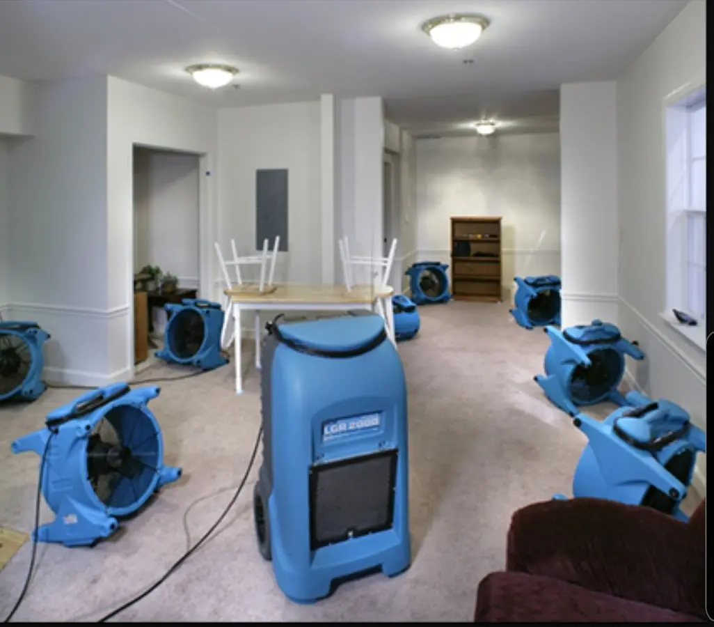 Air movers and dehumidifier setup for Water Extraction & Removal in Hampton