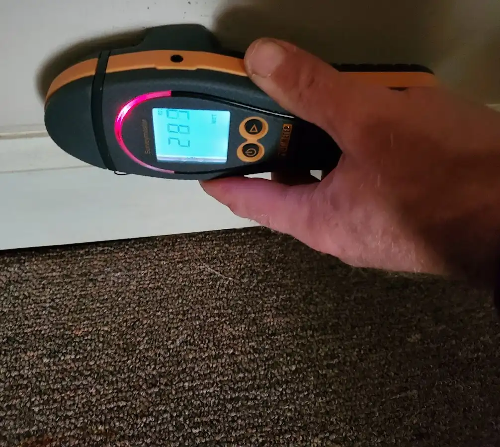Moisture detection at baseboard during Mold Inspection & Testing in Hampton